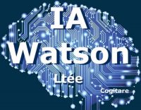 IA Watson Ltée (9412-3973 QUEBEC INC.)