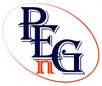 Patience Enterprises Group